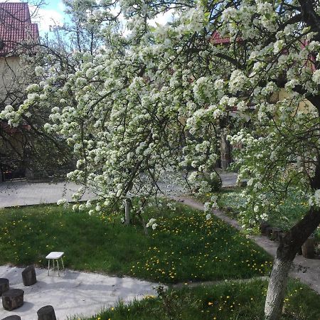 Квартира-Студия В Стиле Шале Truskavets Buitenkant foto